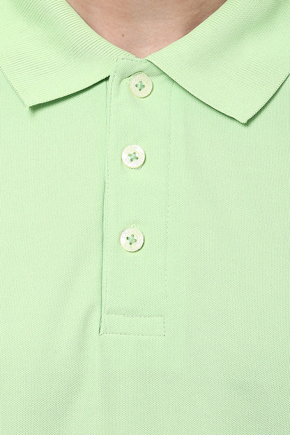 lettuce green